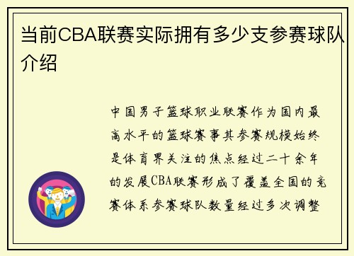 当前CBA联赛实际拥有多少支参赛球队介绍
